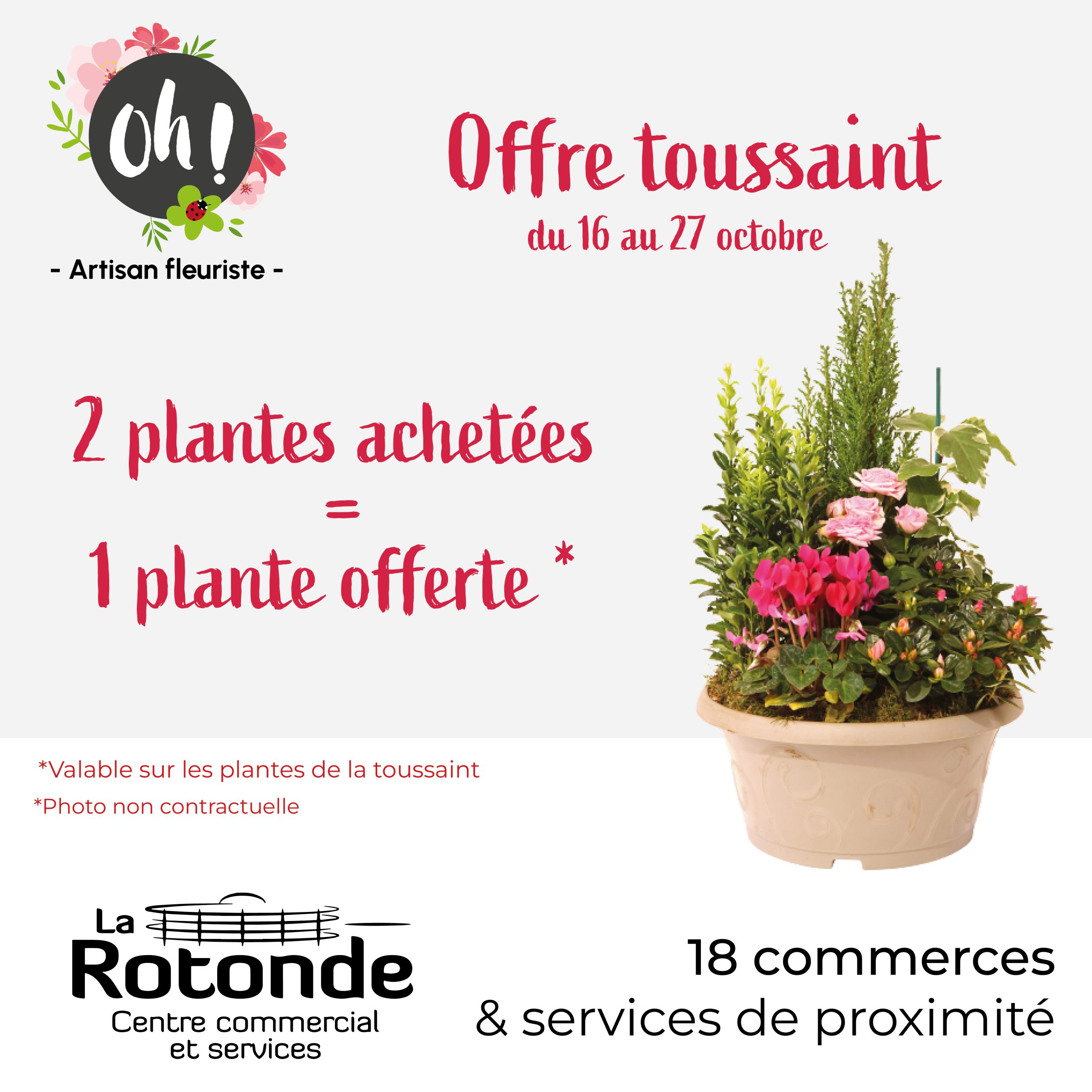 Oh ! Artisan fleuriste : Offre spéciale Toussaint